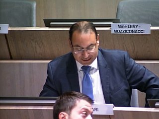 Budget supplémentaire, Stéphane Mari ne trouve pas de traces du pont transbordeur !