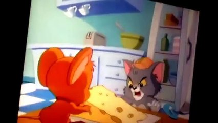 Tom and Jerry Cartoon - Fraidy Cat