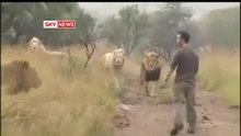This is shocking! The most amazing thing you'll ever watch!.