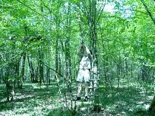 tyrolienne de Quarter Horses