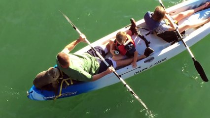 Sea Lion joins family on Santa Barbara kayak - ORIGINAL VIDEO