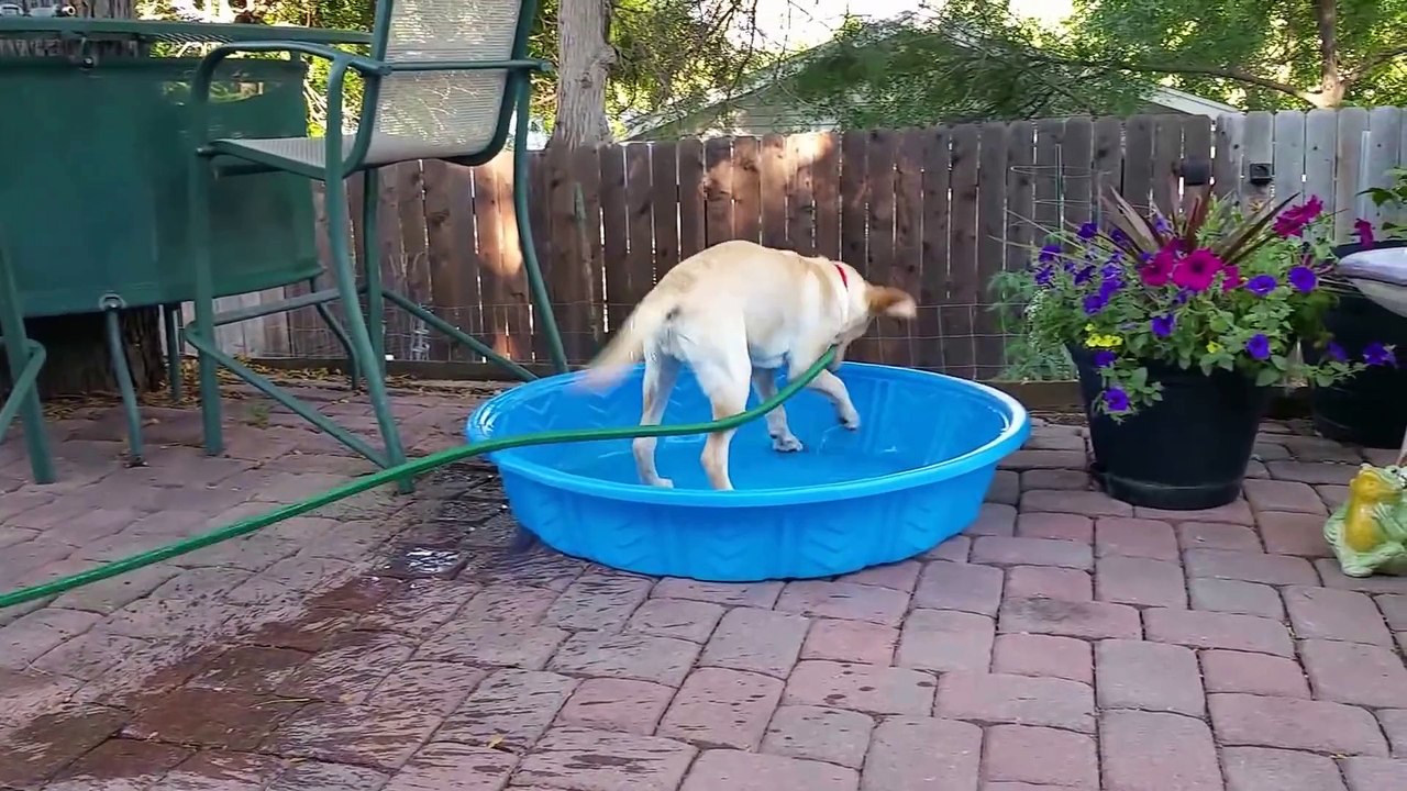 Maddie trying to fill up her pool