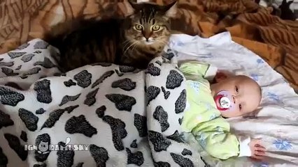 Cat nounou. Joyeux chat bercé l'enfant