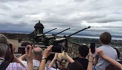 Cet oiseau n'aurait vraiment pas dû passer devant le Château n