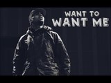 Chris Brown Ft. Jason Derulo - Want To Want Me