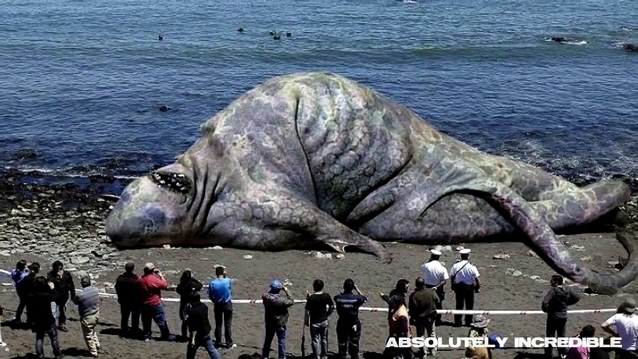 Real SEA MONSTER! 70 foot long hybrid GIANT SQUID SHARK found near