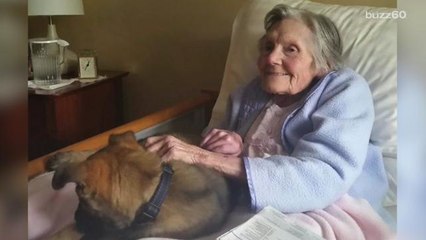 Police puppy is the only thing that can make this woman smile