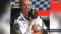 Adorable baby goat becomes newest member of Australian police force