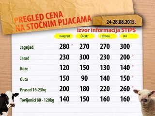 Cene stoke na stočnim pijacama za period 24-28.08.2015.