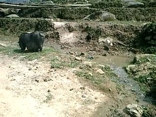 Sappa villages nord vietnam