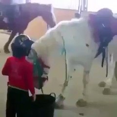 How to ride at hourse by a child