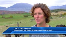 D!CI TV: visitez la ferme du Col à Jarjayes pendant les vacances scolaires