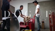 20151022_JungShin.Simba_KO Mag. DOGUE shoot making and message