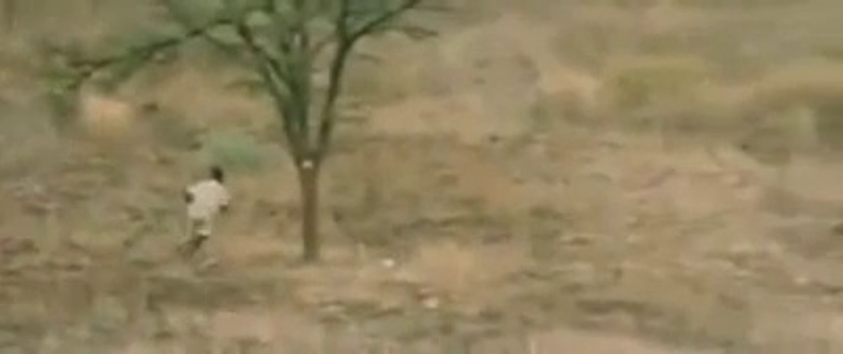 Wild People Kill the Animal