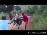 Funny Videos - Funny Fail Compilation Videos Clips Must Watch