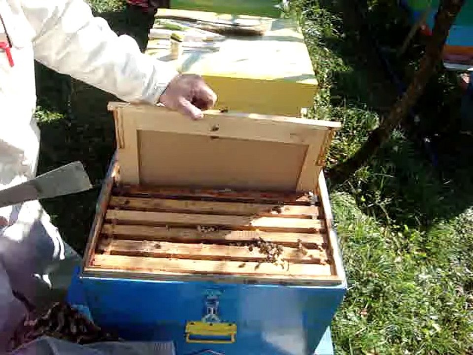 Împachetări de iarnă și tratament cu Varostop!