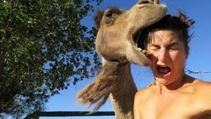 Funny Zoo Fails and Moments - Funny Animal Compilation