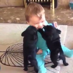 Yerim Ben Bunların Ağzını Burnunu