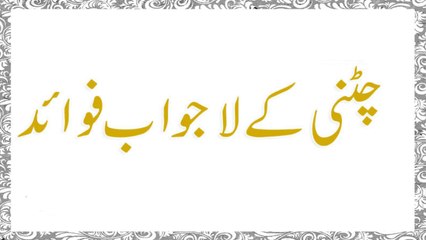 Chatni Ke Fawaid in Urdu - Health Tips