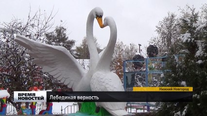 2015 год. Памятник лебединой верности