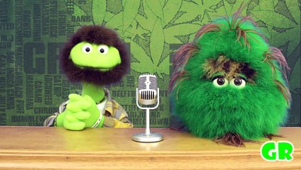 Green Report with Bud and Nugget