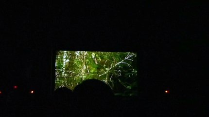 One Of Us screning at the Sidewalk Film Festival 2012