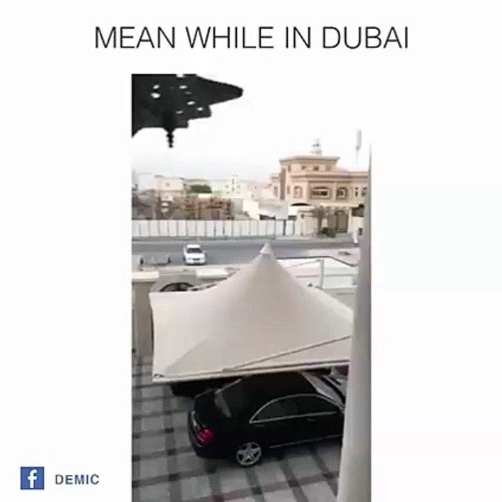 Funny Arabi in Dubaie