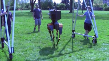 Walking robot mimics the way humans move