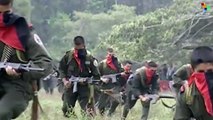 The ELN - Colombia's Other Guerrillas