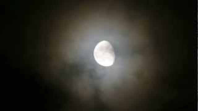 Nature Sounds - Sound of Crickets at Night - Meditation Sleep Relaxing Sounds