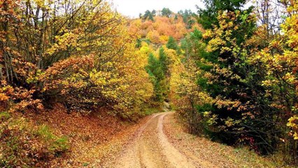 DUMANLI DUMANLI OY BİZİM ELLER