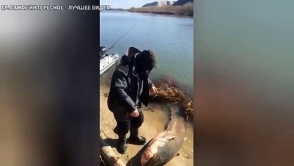 Неожиданно, что он сделал с этой рыбиной
