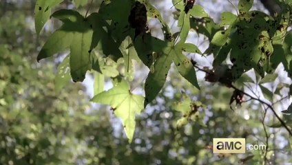 The Walking Dead 6x04 - "Here's Not Here": Sneak Peek