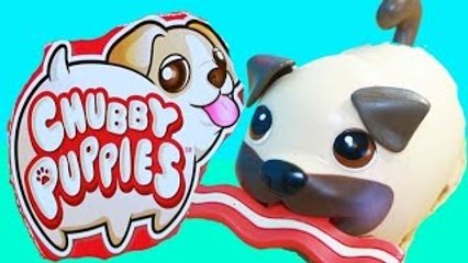 Chubby Puppies BACON ATTACK Ultimate Dog Park Play Yard Puppy Fight Over Bacon Toy Review