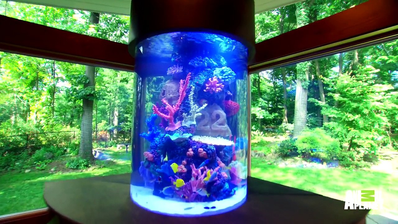 Sherri Shepherd Gets Tanked