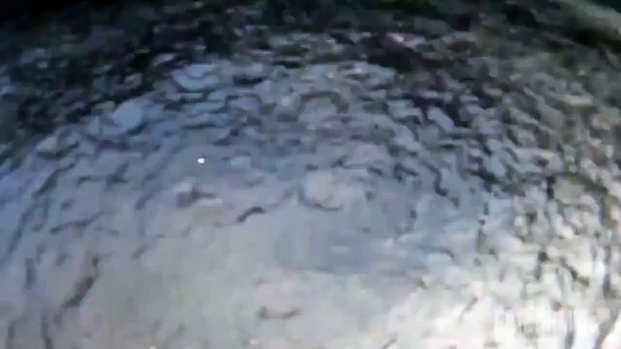 Best Fails of the Week 4 October 2014    FailArmy_5