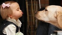 Funny Dogs and Babies Talking - Cute Dog