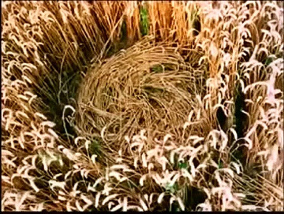 Secret UFO Files: Disclosure UFOS and Crop Circles 2015 update HD