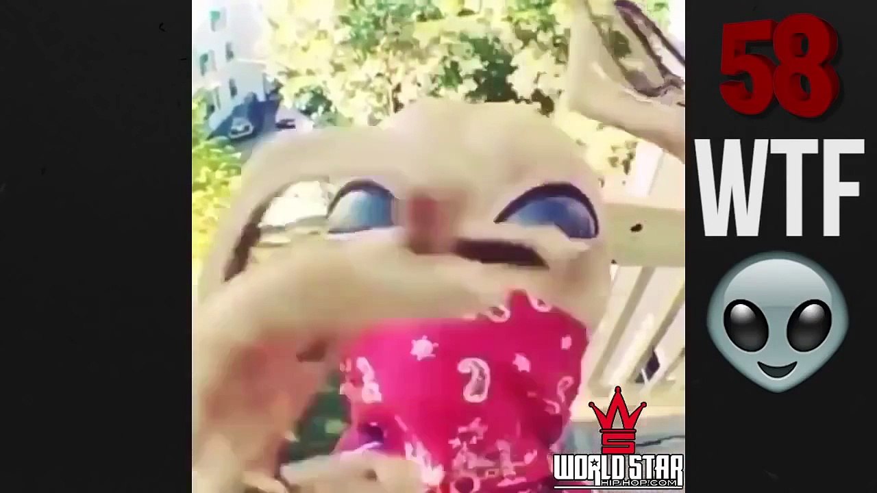 Vine Comp Of The Week Part 133! | WorldStarHipHop Vines Compilation 2015 | Funniest Vines