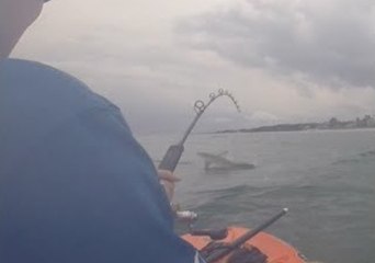 Acrobatic Shark Takes Paddleboarder for a Ride