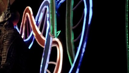 Durga puja in City of Joy Part 1