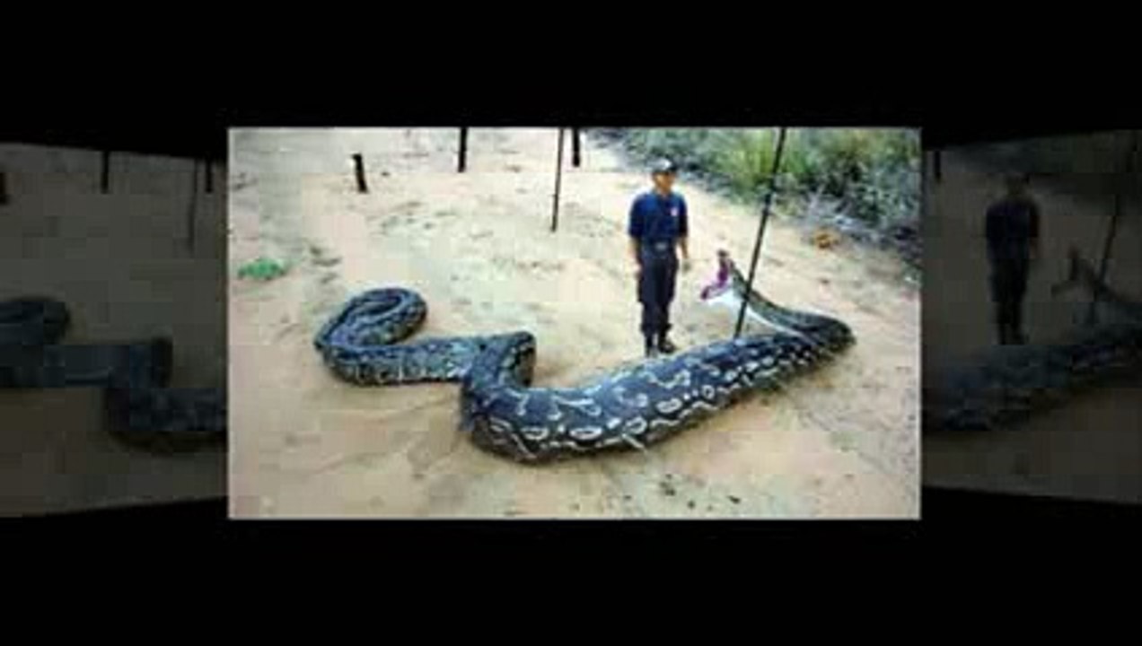 OMG! Shocking Video 10