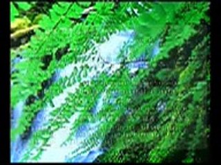 Unique Leading Facts about Tiens VS Roze tv banaqab Part 5