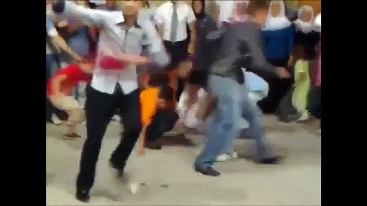 Halaylar
