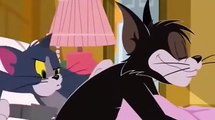 Tom and Jerry | Tom and Jerry New Episodes | Tom and Jerry Cartoon