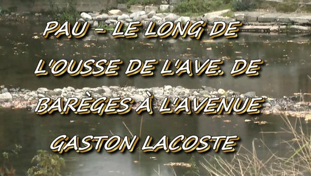 LES PROMENADES DE MICHOU W-D.D. - 27 OCTOBRE 2015 - PAU - LE LONG DE L'OUSSE DE L'AVENUE DE BARÈGES À L'AVENUE GASTON LACOSTE.