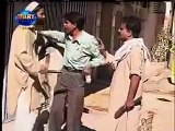 Pakistani Funny Video 3 a Funny video rel page 2 rel page 2. [downloaded with 1stBrowser]