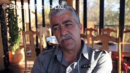 Tiger and Dog Are Best Friends!