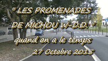 LES PROMENADES DE MICHOU W-D.D. - 27 OCTOBRE 2015 - PAU - LONGUE PROMENADE DANS NOTRE QUARTIER DU BUISSON.