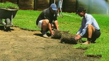 Laying New Turf Video Tips or Advice By Daleys Turf